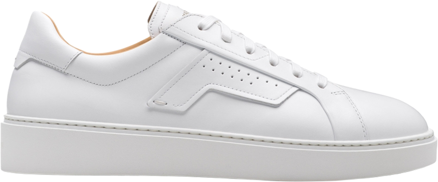 Magnanni Phoenix