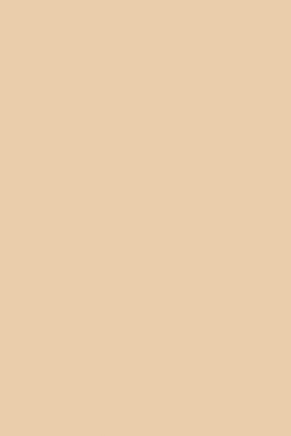 Champagne - 3mm Flat Waxed Shoelaces